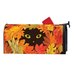 Peekaboo Cat MailWrap